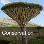 btn-conservation
