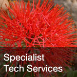 btn-specialist-tech-services