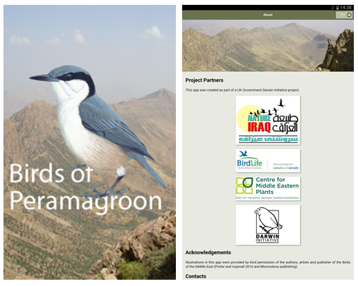 Birds of Peramagroon
