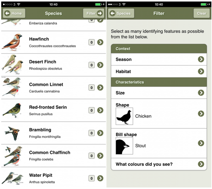 Birds of Peramagroon 2